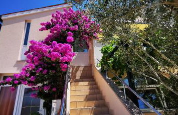 Apartments Marin, Kolan, Mandre, Pag - Photo 2