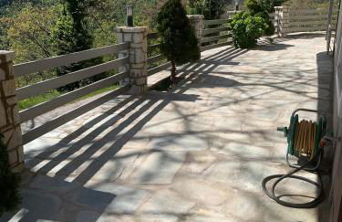 Konstantakos Michail - Photo 16