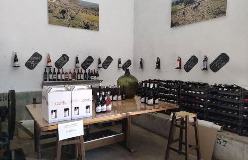 Disfrutando la zona - Photo 6