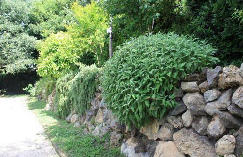 Villa Stauder - Foto 12