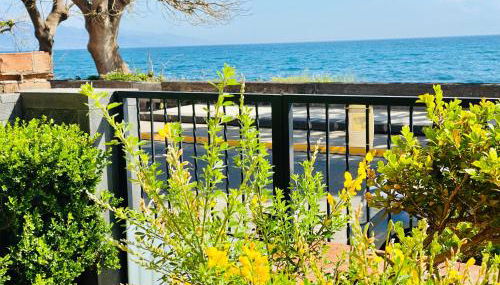 Torre Archirafi Vacanze - Foto 5