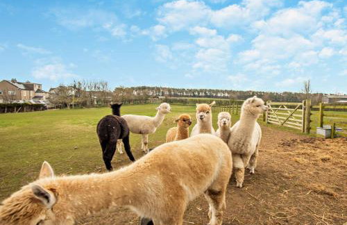 3 Bed in Cockermouth 82438 - Foto 22