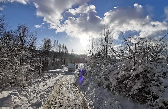 Jaworki Green Dream - Foto 78