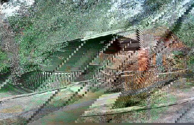 Bungalow Village Le Caravelle - by Mamberto S.r.l. - Photo 31