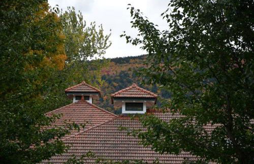 Gorgeous Green Mountains Vacation Rental with a Pool in Manchester, Vermont - Foto 31