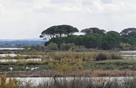 PETROS ROOMS to LET KALOGRIA BEACH - Foto 9