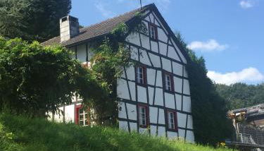Noah - Seeleben auf Zeit am Rursee - Foto 2
