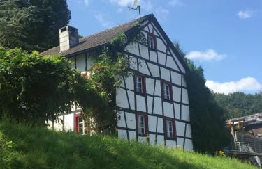 Noah - Seeleben auf Zeit am Rursee - Foto 2