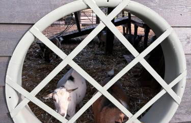 Willow Court Farm Studio East & Petting Farm, 8 mins to Legoland & Windsor, 15 mins to Lapland UK - Foto 21