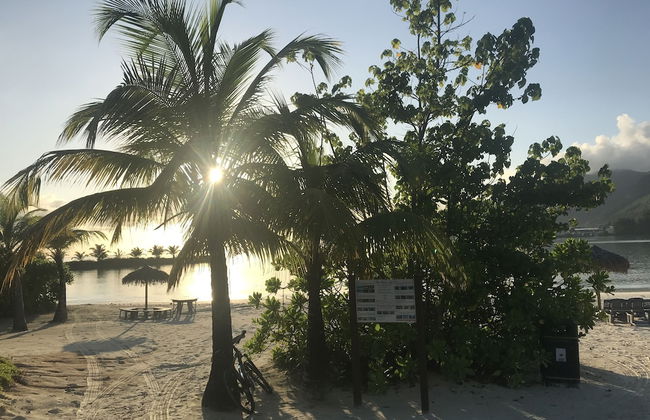 Eden Island Gem - Photo 14