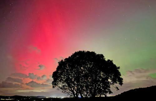 Beehive Cottage - Photo 34