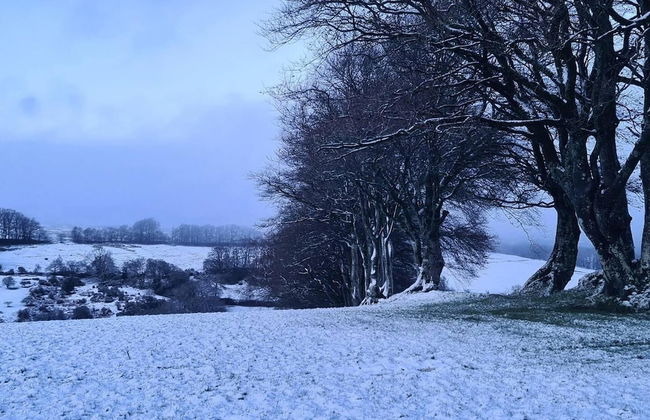 Paradise Position on Exmoor National Park - Foto 9
