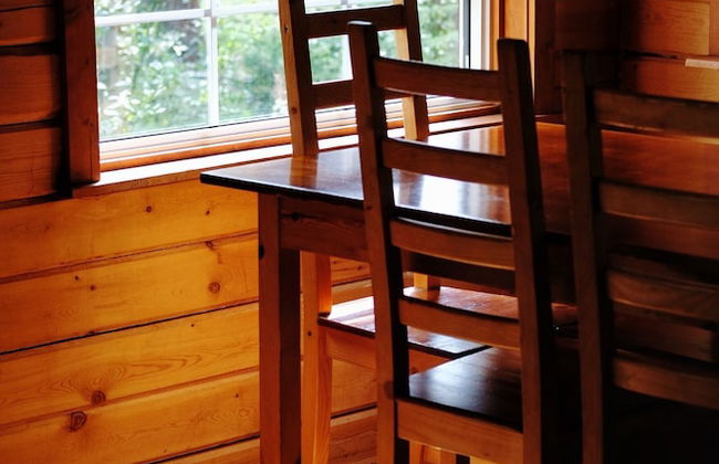 Little Atlin Lodge - Photo 6