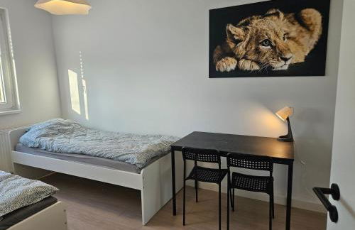 AIKey Böhlen - Foto 15