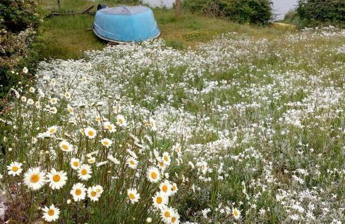 The Patch at Snettisham Beach - Foto 48