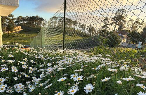 Casa Rural Margarita, relax, vistas, jardín - Foto 62