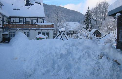 Gasthaus Wollmeiner - Foto 11