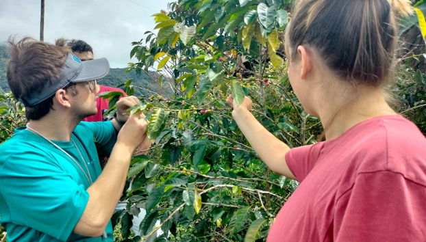 Tour del café por San Rafael - Foto 3