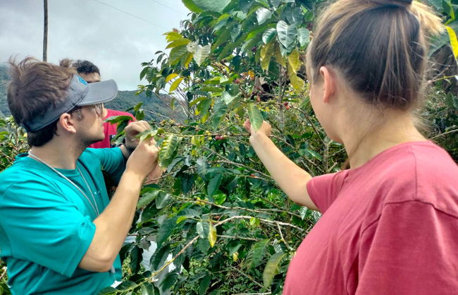 San Rafael Coffee Tour - Photo 3