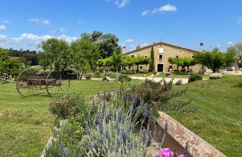 Más Figueres - Foto 1