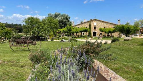 Más Figueres - Foto 1