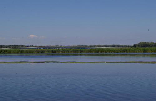 Agroturystyka Pod Brzozami - Photo 21