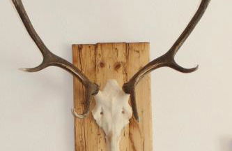 Ferienwohnung Schwarzwaldnest Feldberg - Foto 26