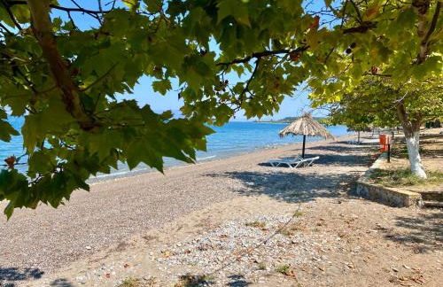 Villa Amatheia, Beachfront - Foto 6