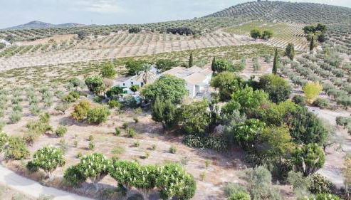 Cortijo Don Simón - Foto 3