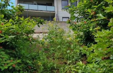 Ferienhaus Fräulein Frenz - Foto 3