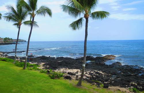 Kona Reef Resort by Latour Group - Foto 10