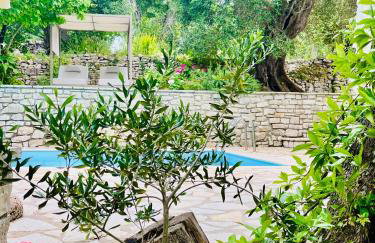 Villa Isabella in Paxi - Foto 15
