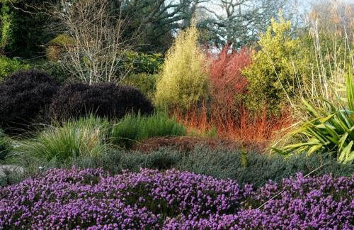 Pinetum Garden Cottages - Foto 112