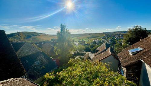 Appartement cosy vue sur le vignoble - Foto 4