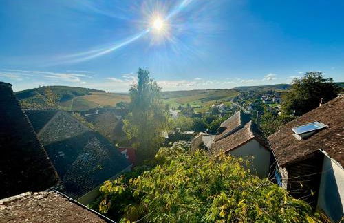 Appartement cosy vue sur le vignoble - Foto 4