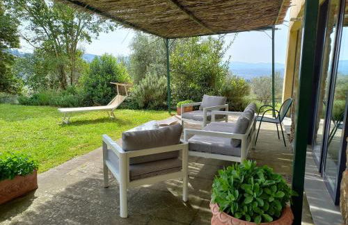 Fattoria di Maiano - Foto 46