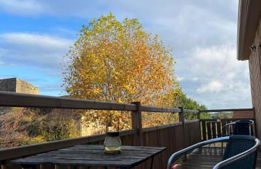 Gite Lomegaja 6pers proche Lascaux et Sarlat - Foto 10