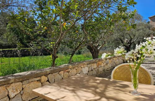 Agroturismo Finca Can Sec - Foto 14