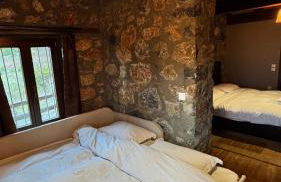 Forest House - Foto 15