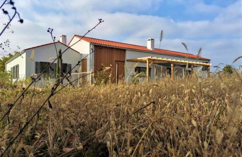 Two villas in lush countryside near Motovun - Foto 3