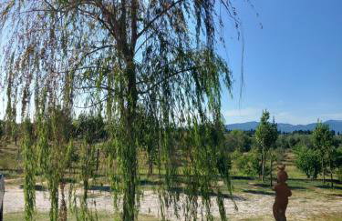 Azienda Agrituristica Le Betulle - Foto 144