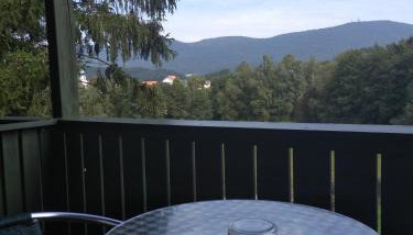 Wohnungen- Christopherhof MJ,Grafenwiesen - Foto 5