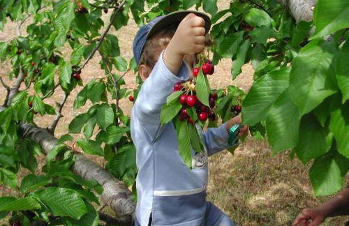 Quintinha dos Cedros - Foto 31