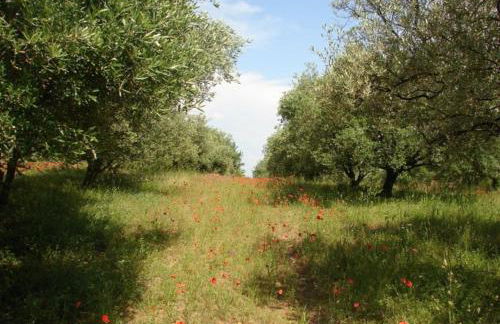 Appartement lumineux au cœur de la garrigue - Foto 15