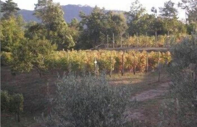 Sostio a Levante Guest House - Photo 36