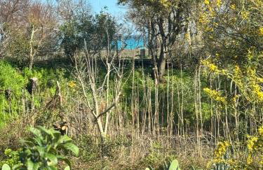 Green paradise with Etna view - Foto 79