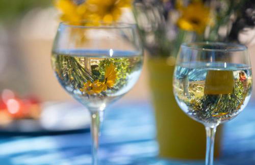 Pajara Rugiada - Foto 30