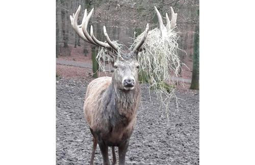 Main building Neumühle - Foto 15