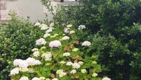 Gîte Anne et Jean - Foto 3, Garden