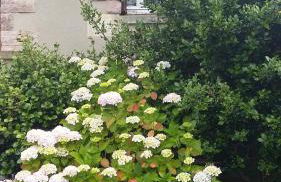 Gîte Anne et Jean - Foto 3